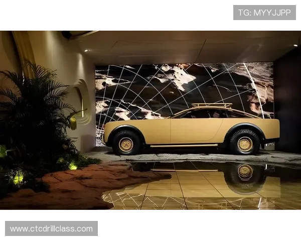 波音迈巴赫合作带来的航空工业创新与奢华体验探索 波音迈巴赫合作带来的航空工业创新与奢华体验探索